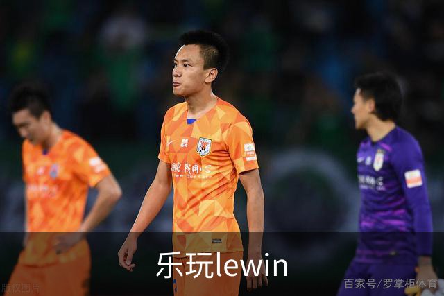 乐玩lewin公司简介图片